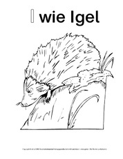I-wie-Igel-4.pdf